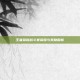 王者荣耀战斗赛荣耀与奖励解析