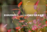 亚洲电竞新势力，CAC.CSGO的崛起与未来蓝图