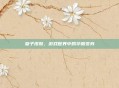 皇子皮肤，游戏世界中的华丽变身