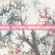环保行动，从个人做起，屏蔽喷涂CF以保护环境