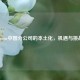 Steam中国分公司的本土化，机遇与挑战