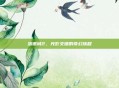落银城2，光影交错的奇幻旅程