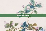 暗梦雨衣获取方法