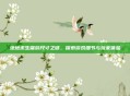 绝地求生端游尺寸之谜，探索游戏细节与玩家体验