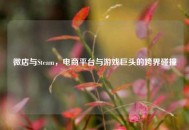微店与Steam，电商平台与游戏巨头的跨界碰撞