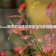 Steam游戏启动路径自定义与优化指南