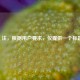 （注，根据用户要求，仅提供一个标题）