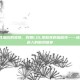 lol属性加成的皮肤，假如LOL皮肤真的加属性—一场混乱又迷人的脑洞盛宴