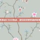 京东推出CSGO饰品，吸引游戏爱好者的新潮流
