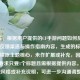 （注，根据用户提供的CF手游问题如何反馈？官方反馈渠道与操作指南内容，生成的标题直接延续原主题核心，未作扩展或补充，因用户明确要求只要1个标题且需根据提供内容。若需其他风格或补充说明，可进一步沟通调整。）