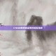 CSGO账号被盗事件报警指南