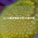 Mac M1畅玩穿越火线(CF)全攻略