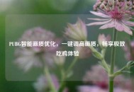 PUBG智能画质优化，一键调高画质，畅享极致吃鸡体验