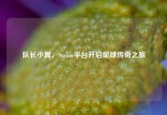 队长小翼，Steam平台开启足球传奇之旅