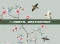 CC模型预览器，引领未来技术的新趋势