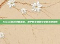 Steam密码设置指南,保护数字游戏安全的关键步骤