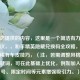 根据您提供的内容，这里是一个简洁有力的标题建议，，和平精英隐藏兑换码全攻略，免费领取稀有车皮技巧，（注，若需调整风格或补充关键词，可在此基础上优化，例如加入版本号、限定时间等元素增强吸引力。）