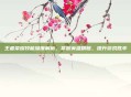 王者荣耀技能深度解析，掌握英雄精髓，提升游戏胜率