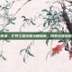 塞尔达传说，旷野之息终极攻略指南，探索灵魂轨迹的奥秘