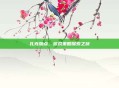 扎克加点,游戏策略探索之旅