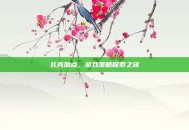 扎克加点，游戏策略探索之旅