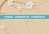 平潭县医院，山海间的生命守望，平潭县医院的故事