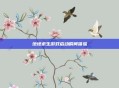 绝地求生游戏启动瞬间体验