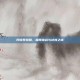 阿修罗觉醒，极限挑战与试炼之旅