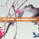 QQ飞车赤凰，速度与激情的完美融合