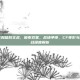 cf夜影和暗裔实战，暗夜双星，战场争锋，CF夜影与暗裔实战深度解析