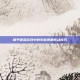 和平精英游戏中的车辆视角转动技巧