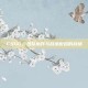 CSGO，团队协作与战术配合的战场