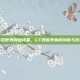虚拟世界的破坏者，CF毁客现象的剖析与反思