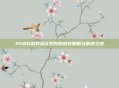 PUBG游戏验证失败的应对策略与解决之道