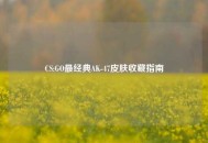 CS:GO最经典AK-47皮肤收藏指南
