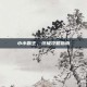 小小霸王，终极攻略指南