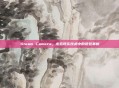 Steam Camera，虚拟现实技术中的视觉革新