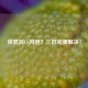 核显玩CF闪退？三招完美解决！
