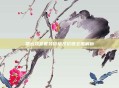 慧云及圣套装价格及价值全面解析