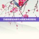 王者荣耀混战模式中的意外竞技冒险