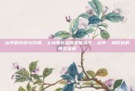 山芋的功效与作用，土地里长出的全能选手，山芋，被低估的养生宝藏