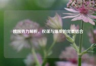 魏国势力解析，权谋与爆发的完美结合