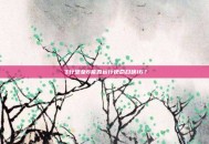 飞行堡垒6能否运行使命召唤16？