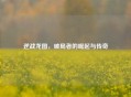 逆战龙图，破局者的崛起与传奇
