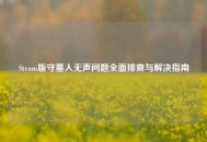 Steam版守墓人无声问题全面排查与解决指南
