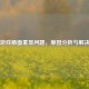PUBG游戏画面重显问题，原因分析与解决方案