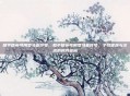 和平精英可用罗马音符号，和平精英可用罗马音符号，个性昵称与交流的时尚密码