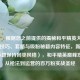 （注，根据您之前提供的揭秘和平精英大神视频，技巧、套路与吸粉秘籍内容特征，新生成的标题保持同类风格），和平精英巅峰攻略，从枪法到运营的百万粉实战圣经