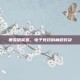 暴雪精英赛，电子竞技的巅峰对决