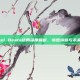 Angel Beats结局深度解析，情感纠葛与未来展望